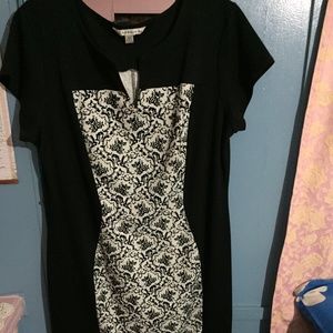 plus size women dress